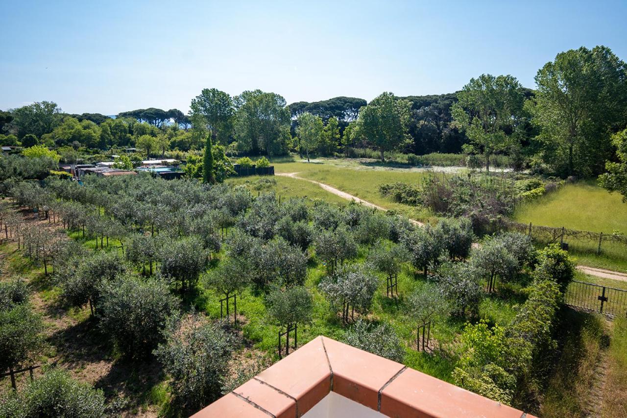 Attico Di Torsten Apartment Torre del Lago Puccini Luaran gambar